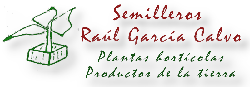 Semilleros Raúl García Calvo